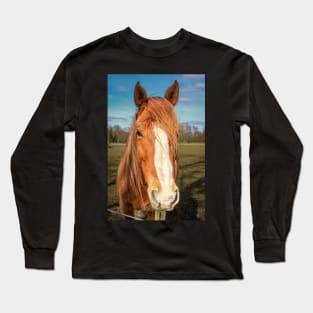 horse Long Sleeve T-Shirt